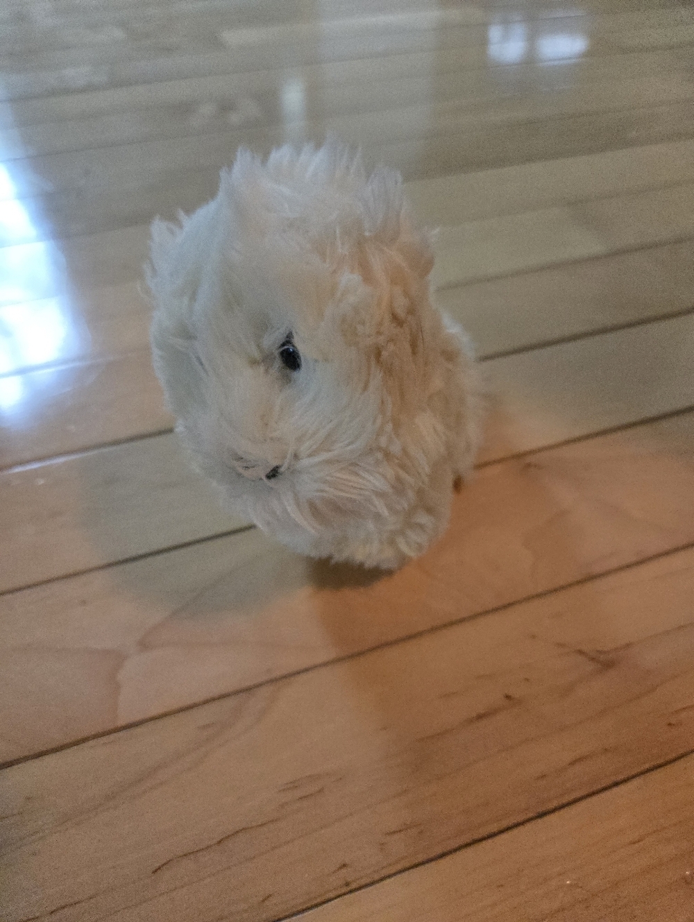 Vintage American Girl Coconut Dog